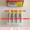 Injector Nozzle 6801029 , made in China supplier