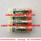 Genuine and New BOSCH Injector Nozzle  DLLA156P1368 , 0433171848 , DLLA 156 P 1368 , 0 433 171 848 , BOSCH 100% NEW supplier