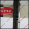 DELPHI Common rail injector EJBR02801D, R02801D , EJBR01901Z for Hyundai KIA 33800-4X500,33801-4X500 supplier