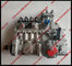 Genuine CUMMINS fuel pump 4994909 , 10 403 564 042 ,  10403564042 , CPES4PB110D120RS, BYC pump 4994909 supplier