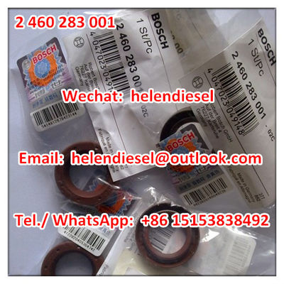 China Genuine and New  Gasket /Oil Seal 2460283001 , 2 460 283 001, 81965030313,42551388 , Original Pump Shaft Seal supplier