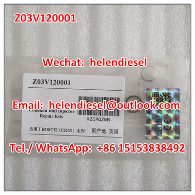 China  Injector Seal Kits / Repair Kits Z03V120001 , Z 03V 120 001 supplier
