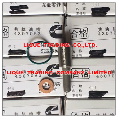 China Genuine and New  Nozzle 4307083 , P5461846FSW ,5406060 original supplier