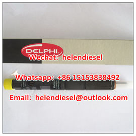 China Delphi common rail  injector EJBR02801D, R02801D,33800-4X500,338004X500,33801 4X500,33801-4X510 for HYUNDAI KIA supplier