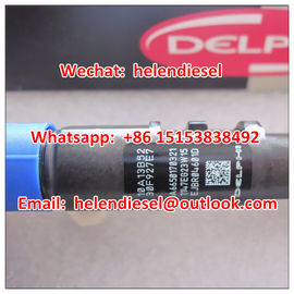China DELPHI common rail injector EJBR04601D ,R04601D, A6650170321, 6650170321,A6650170121 ,6650170121, EJBR02601Z, R02601D supplier