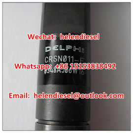 China DELPHI common rail  injector EJBR05301D, R05301D, F50001112100011 , F5000-1112100-011,EJBR06101D,original YUCHAI supplier