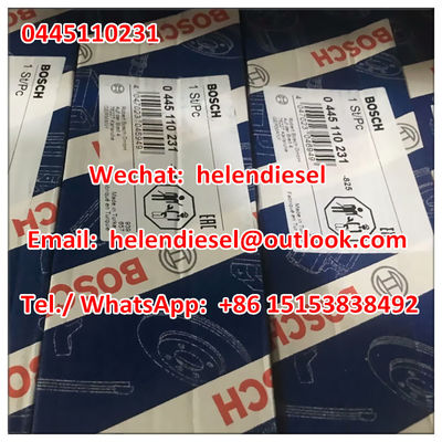 China  common rail injector 0445110231 , 0 445 110 231 , 0445110 231 , 93342272 , 940704640034 , 2P0130201, 2P0 130 201 . supplier
