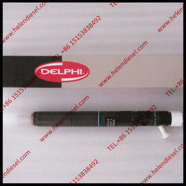 China DELPHI Common rail injector EJBR03902D ,R03902D, EJBR03901D for KIA Carnival Euro IV 33800-4X400 ,338004X400 supplier