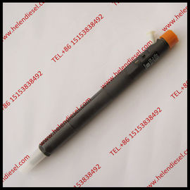 China DELPHI Common rail injector EJBR04501D ,R04501D for SSANGYONG A6640170121, 6640170121 supplier