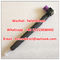DELPHI original injector 28229873, 33800 4A710 , 33800-4A710 , 338004A710 Genuine and New fit Hyundai / Kia supplier