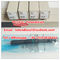 Genuine DELPHI injector EJBR05501D ,R05501D, 33800-4X450 , 338004X450 , 33800 4X450 original and brand new  Hyundai /Kia supplier