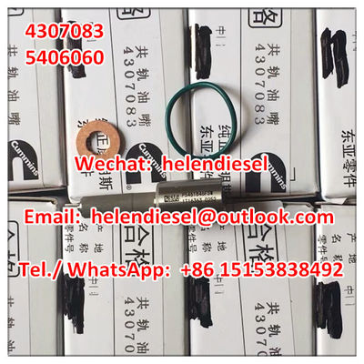 Genuine and New  Nozzle 4307083 , P5461846FSW ,5406060 original and brand new supplier