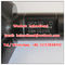 Genuine and New DENSO injector 095000-5130 , 095000-5131,095000-513# , 9709500-513 ,16600 AW40C , 16600-AW40#,16600AW40C supplier