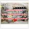 Genuine and New diesel pump 612601080376 genuine weichai high pressure injection pump supplier