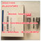 Genuine Brand New BOSCH injector nozzle 0433171921 , 0 433 171 921 , DLLA155P1493 , DLLA 155 P 1493 , Bosch original supplier