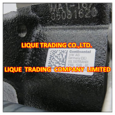 Genuine and New  VDO Fuel Pump 03L130755AN , 03L130755AN01 , 5WS40836, 5WS40891,  A2C59517047 , A2C53366731 supplier