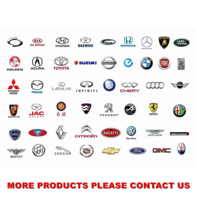 New /VDO Diesel Injector A2C59513484 ,166004305R , 16 60 043 05R ,166008052R , 16 60 080 52R ,8200903034 original supplier